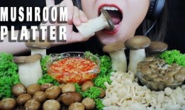 圈哥爆料美食视频大全下载,美食视频大全下载攻略