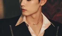 圈内爆料肖战王嘉尔