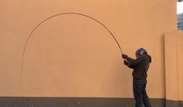 科学钓鱼爆料视频下载,揭秘视频背后的下载技巧与奥秘